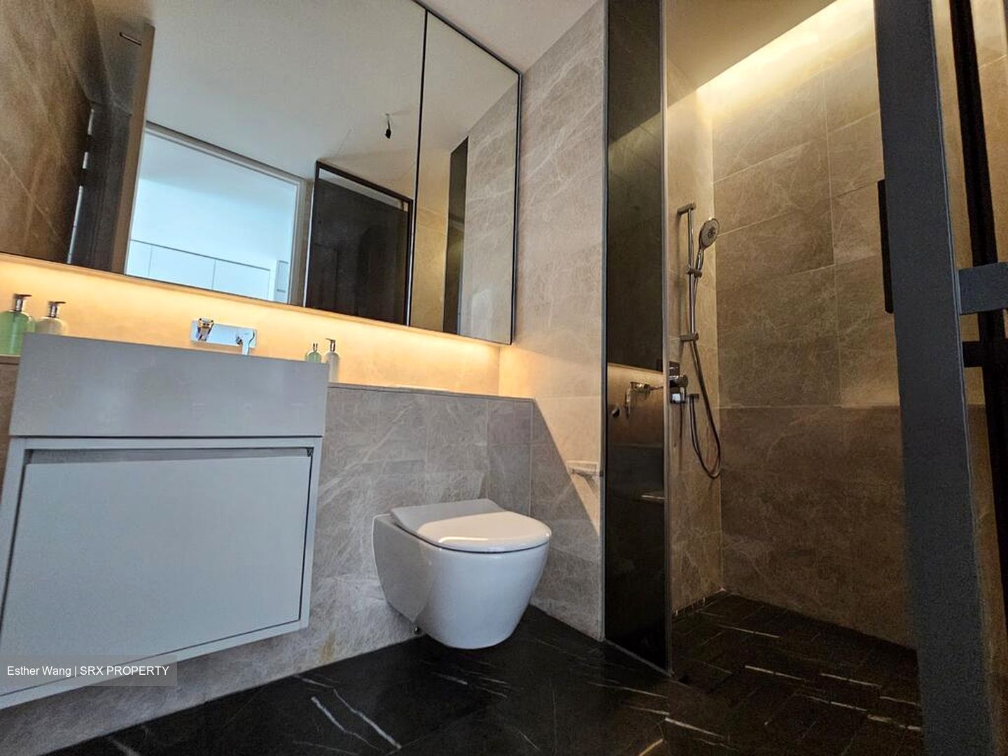 Amber Park (D15), Condominium #503564621